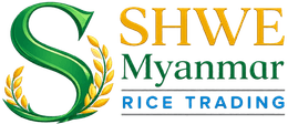 logo-11